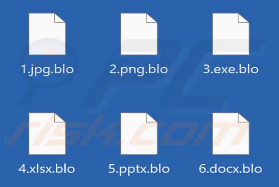 Blackoutware Ransomware