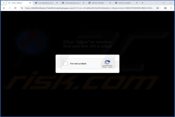 Netchainspan.com Annunci