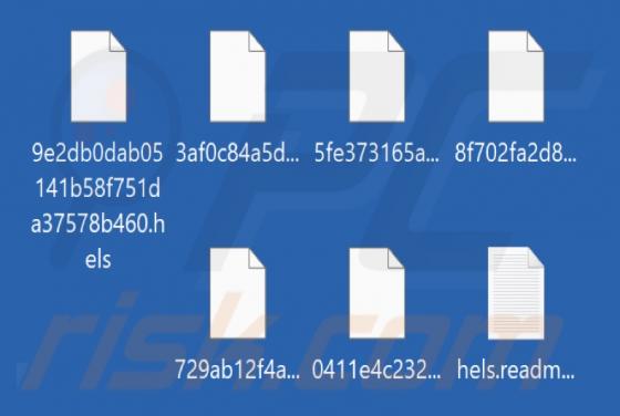BLACK-HEOLAS Ransomware