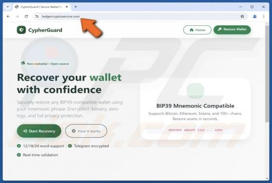 Truffa dello strumento di recupero CypherGuard Cryptowallet contraffatto