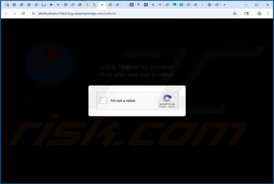Metachainedge.com Annunci
