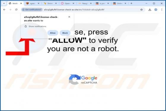 Annunci di License-check-av.site