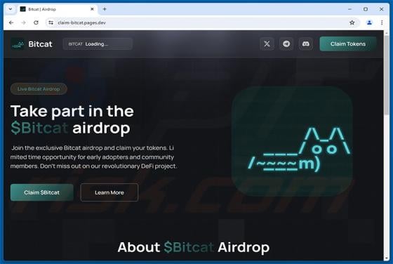 $Bitcat Airdrop truffa