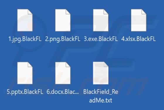 BlackFL (BlackField) Ransomware