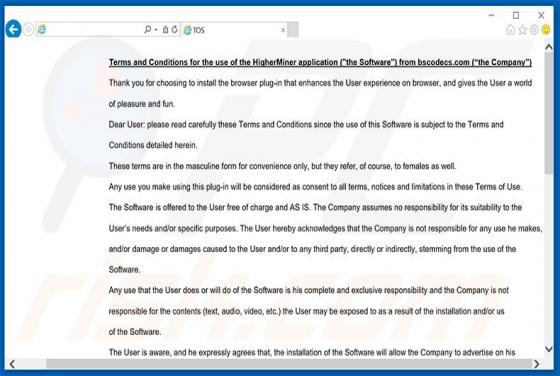 Annunci di WebOptimum