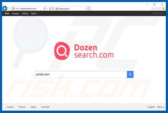 Dozensearch.com Dirottatore