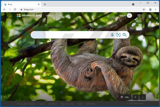 Bing.com Dirottatore