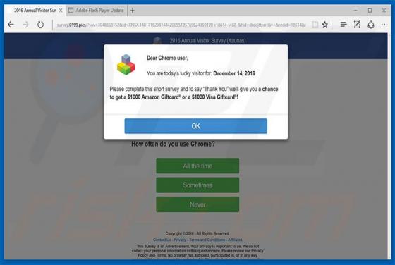 You Are Today's Lucky Visitor Truffa