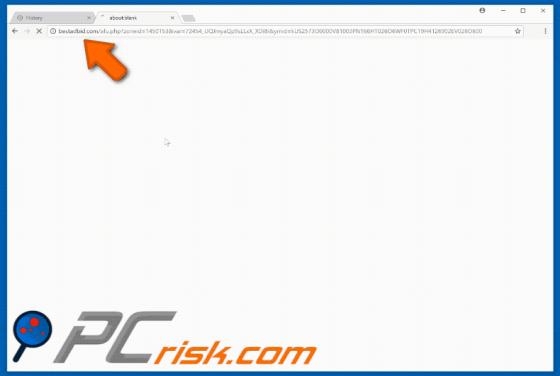 Bestadbid.com Dirottatore