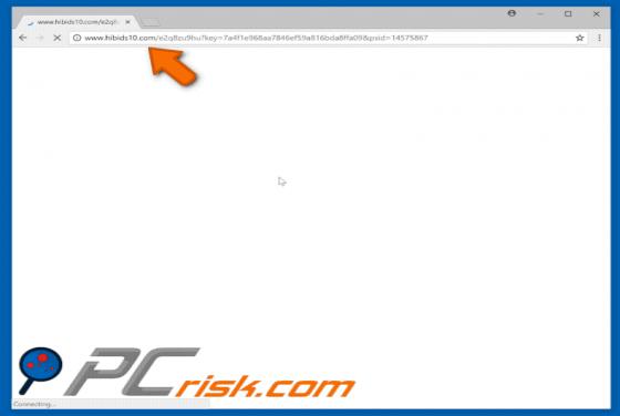 Hibids10.com POP-UP Dirottatore