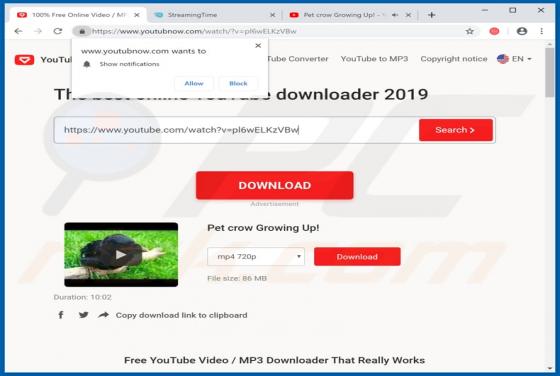 Youtubnow.com Virus