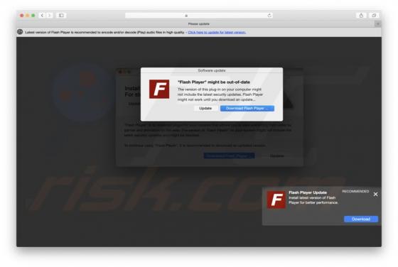 Flash Player Might Be Out Of Date POP-UP Truffa (Mac)