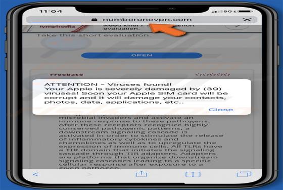 Numberonevpn.com POP-UP Truffa (Mac)