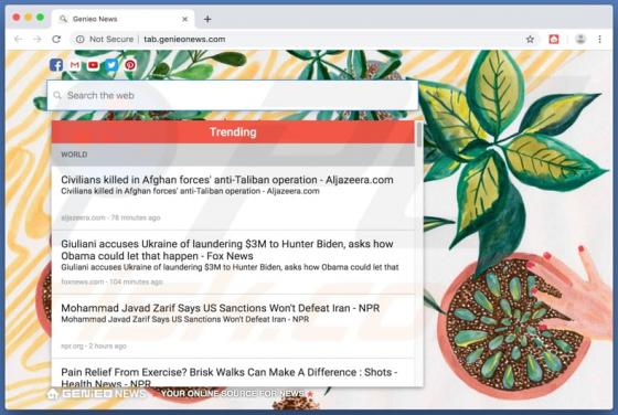 Genieonews.com Reindirizzamenti (Mac)