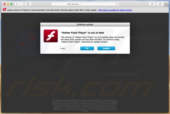 "Adobe Flash Player" Is Out Of Date POP-UP Truffa (Mac)